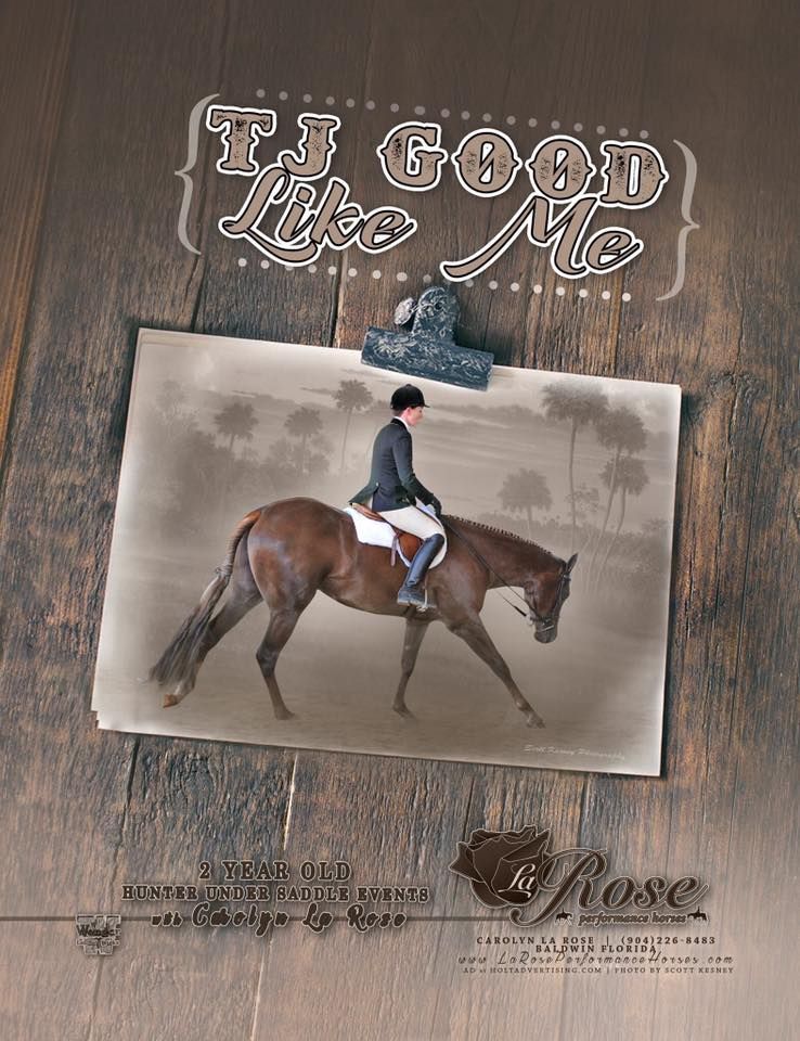 TJ Good Like Me - 'Margo'